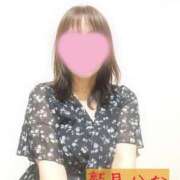 ヒメ日記 2026/06/16 19:37 投稿 鷲見 かな 30代40代50代と遊ぶなら博多人妻専科24時