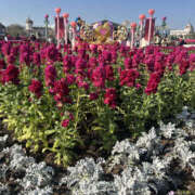 ヒメ日記 2026/02/23 12:48 投稿 まこ ANGEL KISS 池袋