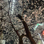 ヒメ日記 2026/04/03 12:00 投稿 まこ ANGEL KISS 池袋