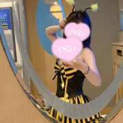 ヒメ日記 2025/11/19 00:02 投稿 ちか C.C.CATS