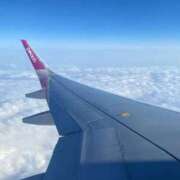 レン ✈️🇯🇵 千葉美女革命