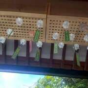 ヒメ日記 2025/11/26 14:36 投稿 羽風いおり 皇帝別館（こうていべっかん）