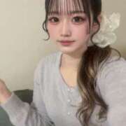 ヒメ日記 2025/11/26 02:14 投稿 すずの 姫コレクション