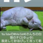 ヒメ日記 2025/11/30 09:24 投稿 やよい 千葉人妻花壇