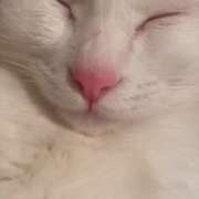 ヒメ日記 2026/03/28 05:23 投稿 やよい 千葉人妻花壇