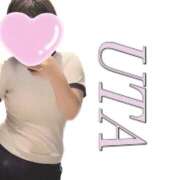 ヒメ日記 2025/11/20 00:38 投稿 (新人)うた エレガンス(広島)