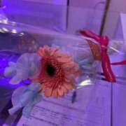 ヒメ日記 2026/02/12 23:20 投稿 るな RED BERYL～レッドベリル～