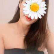 ヒメ日記 2026/01/15 17:55 投稿 櫻井 ノリカ イマジン東京