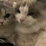 べる お休みもらってました One More 奥様　錦糸町店