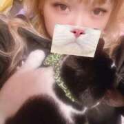 ヒメ日記 2025/11/18 07:39 投稿 ごんざ スピードエコ日本橋店