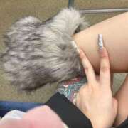 ヒメ日記 2025/11/19 10:59 投稿 ごんざ スピードエコ日本橋店