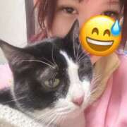 ヒメ日記 2025/12/04 06:10 投稿 ごんざ スピードエコ日本橋店