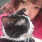 ヒメ日記 2025/12/05 05:09 投稿 ごんざ スピードエコ日本橋店