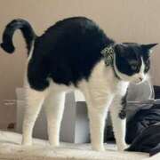 ヒメ日記 2026/01/28 11:49 投稿 ごんざ スピードエコ日本橋店