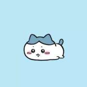 ヒメ日記 2026/02/13 19:39 投稿 にも スピードエコ日本橋店