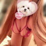 ヒメ日記 2026/01/25 00:29 投稿 ありさ ごほうびSPA横浜店