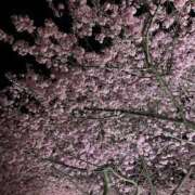 ヒメ日記 2026/02/22 20:34 投稿 ありさ ごほうびSPA横浜店