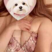 ヒメ日記 2026/04/08 02:04 投稿 ありさ ごほうびSPA横浜店