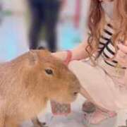 ヒメ日記 2026/05/06 02:04 投稿 ありさ ごほうびSPA横浜店