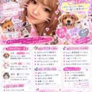 ヒメ日記 2026/09/12 21:50 投稿 ありさ ごほうびSPA横浜店