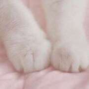 ヒメ日記 2025/12/11 17:01 投稿 なお 素人系イメージSOAP彼女感大宮館