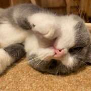 ヒメ日記 2025/12/28 15:15 投稿 なお 素人系イメージSOAP彼女感大宮館