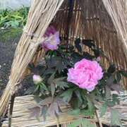 ヒメ日記 2026/01/09 11:46 投稿 なお 素人系イメージSOAP彼女感大宮館