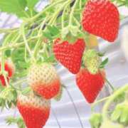 ヒメ日記 2026/02/06 21:31 投稿 なお 素人系イメージSOAP彼女感大宮館