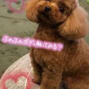 ヒメ日記 2025/11/17 13:56 投稿 佐々木 もも ハレ系 福岡DEまっとる。