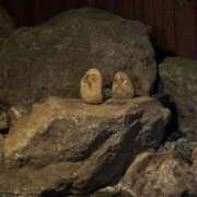 ヒメ日記 2025/11/19 10:52 投稿 佐々木 もも ハレ系 福岡DEまっとる。