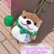 佐々木 もも お礼🧸💌𓂃𓈒𓂂𓏸 ハレ系 福岡DEまっとる。