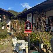 ヒメ日記 2025/12/21 09:56 投稿 佐々木 もも ハレ系 福岡DEまっとる。