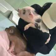 ヒメ日記 2026/02/10 16:18 投稿 佐々木 もも ハレ系 福岡DEまっとる。