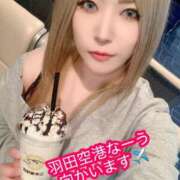 ヒメ日記 2026/01/15 13:50 投稿 ときこ 石庭