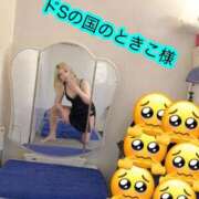 ヒメ日記 2026/01/16 10:30 投稿 ときこ 石庭