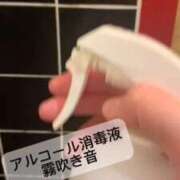 ヒメ日記 2026/01/17 17:00 投稿 ときこ 石庭