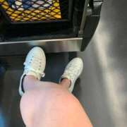 ヒメ日記 2026/01/17 22:51 投稿 ときこ 石庭