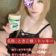 ヒメ日記 2026/01/18 18:50 投稿 ときこ 石庭