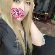 ヒメ日記 2026/01/18 22:30 投稿 ときこ 石庭