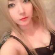 ヒメ日記 2026/01/23 16:20 投稿 ときこ 石庭