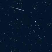 ヒメ日記 2026/01/24 10:20 投稿 ときこ 石庭