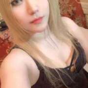 ヒメ日記 2026/01/24 16:31 投稿 ときこ 石庭