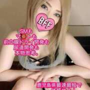 ヒメ日記 2026/01/24 21:20 投稿 ときこ 石庭