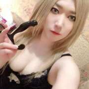 ヒメ日記 2026/01/25 10:25 投稿 ときこ 石庭