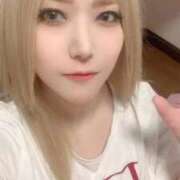 ヒメ日記 2026/01/25 14:20 投稿 ときこ 石庭