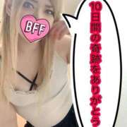 ヒメ日記 2026/01/29 23:20 投稿 ときこ 石庭