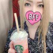 ヒメ日記 2026/02/04 10:38 投稿 ときこ 石庭