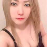 ヒメ日記 2026/02/16 11:20 投稿 ときこ 石庭