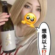 ヒメ日記 2026/02/17 12:20 投稿 ときこ 石庭