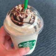 ヒメ日記 2026/02/17 13:20 投稿 ときこ 石庭